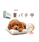 夏のトイプードル・カスタムスタンプ（個別スタンプ：30）