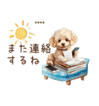 夏のトイプードル・カスタムスタンプ（個別スタンプ：33）