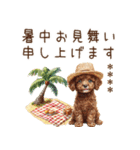夏のトイプードル・カスタムスタンプ（個別スタンプ：35）