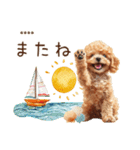 夏のトイプードル・カスタムスタンプ（個別スタンプ：37）