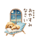 夏のトイプードル・カスタムスタンプ（個別スタンプ：40）