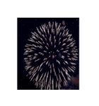 背景に花火が打ち上がる✨納涼花火セット3（個別スタンプ：19）