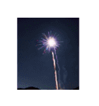 背景に花火が打ち上がる✨納涼花火セット3（個別スタンプ：21）