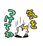 でか文字とネコ④（個別スタンプ：12）