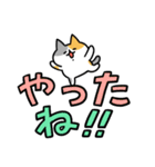 でか文字とネコ④（個別スタンプ：28）