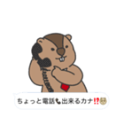 マーモットおじスタンプ（個別スタンプ：8）