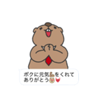 マーモットおじスタンプ（個別スタンプ：25）