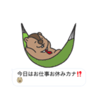 マーモットおじスタンプ（個別スタンプ：33）