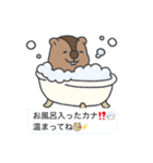 マーモットおじスタンプ（個別スタンプ：37）