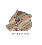 マーモットおじスタンプ（個別スタンプ：40）