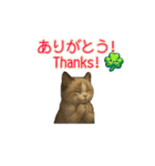 ラグドール子猫の推し活2（個別スタンプ：14）