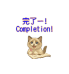 ラグドール子猫の推し活2（個別スタンプ：15）