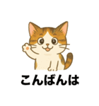 私たち猫ねえさんになかされてます。（個別スタンプ：3）