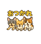 私たち猫ねえさんになかされてます。（個別スタンプ：4）