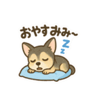 私たち猫ねえさんになかされてます。（個別スタンプ：5）