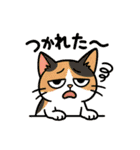 私たち猫ねえさんになかされてます。（個別スタンプ：10）