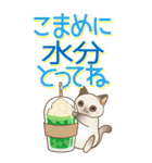 大きくてみやすい！でか文字 はぴきゃと夏（個別スタンプ：5）