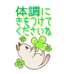 大きくてみやすい！でか文字 はぴきゃと夏（個別スタンプ：18）