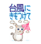 大きくてみやすい！でか文字 はぴきゃと夏（個別スタンプ：20）