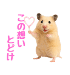 キンクマハムスター氏の日常（個別スタンプ：2）