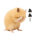 キンクマハムスター氏の日常（個別スタンプ：7）
