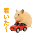 キンクマハムスター氏の日常（個別スタンプ：13）