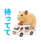 キンクマハムスター氏の日常（個別スタンプ：14）