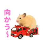 キンクマハムスター氏の日常（個別スタンプ：16）