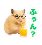 キンクマハムスター氏の日常（個別スタンプ：22）