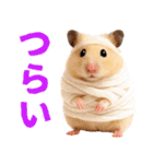 キンクマハムスター氏の日常（個別スタンプ：27）