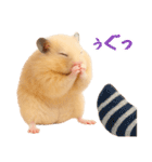 キンクマハムスター氏の日常（個別スタンプ：30）