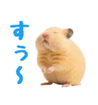 キンクマハムスター氏の日常（個別スタンプ：31）