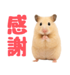 キンクマハムスター氏の日常（個別スタンプ：36）