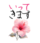 8月 夏の花 大きくて見やすい挨拶スタンプ（個別スタンプ：13）