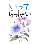 8月 夏の花 大きくて見やすい挨拶スタンプ（個別スタンプ：14）