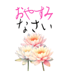 8月 夏の花 大きくて見やすい挨拶スタンプ（個別スタンプ：24）