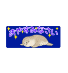 【省スペース】1年中使える♪海の生き物♪（個別スタンプ：39）