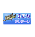 【省スペース】1年中使える♪海の生き物♪（個別スタンプ：40）