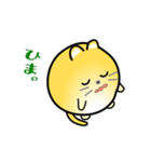 nobobi 小丸いニャンコ（個別スタンプ：1）