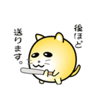nobobi 小丸いニャンコ（個別スタンプ：3）