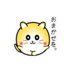 nobobi 小丸いニャンコ（個別スタンプ：23）