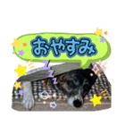 チェル＆えのきのスタンプ（個別スタンプ：2）