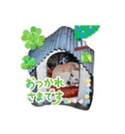チェル＆えのきのスタンプ（個別スタンプ：3）