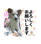 チェル＆えのきのスタンプ（個別スタンプ：7）