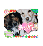 チェル＆えのきのスタンプ（個別スタンプ：8）