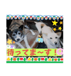 チェル＆えのきのスタンプ（個別スタンプ：11）