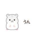 動く！もちもちハムスター（個別スタンプ：1）