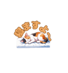 おやすみにゃ～＊ねこのまったり夜（個別スタンプ：2）