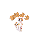 おやすみにゃ～＊ねこのまったり夜（個別スタンプ：8）