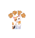おやすみにゃ～＊ねこのまったり夜（個別スタンプ：10）